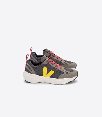 Veja Elastic Laces Alveomesh Grafite Tonic Canary Kinder Grau | TZAPQ53407